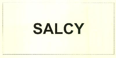 Salcy Device mark 3348322 Trademark