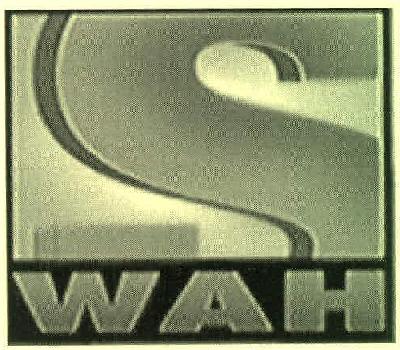 S Wah Device mark 3378384 Trademark