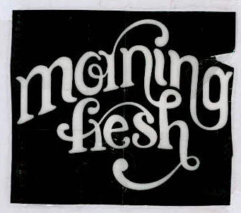 Morning Fresh Device mark 3423991 Trademark
