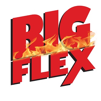 Big Flex Device mark 3356123 Trademark