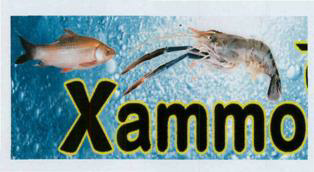Xammo (label) Device mark 3460355 Trademark