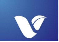 V Shaped Logo Device mark 3372151 Trademark