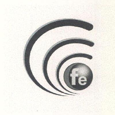 Fe Device mark 3386142 Trademark