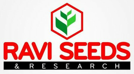Ravi Seeds & Research (label) Device mark 3461533 Trademark