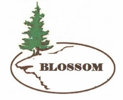 Blossom With Device Of Tree Device mark 3483984 Trademark