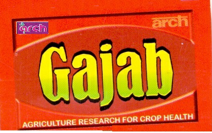 Arch Gajab Device mark 3464215 Trademark