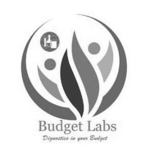 Budget Labs Device mark 3489295 Trademark