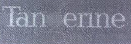 Tabgerine (label) Device mark 1523540 Trademark