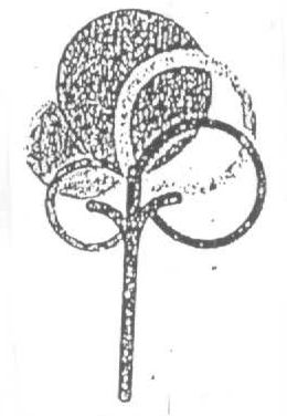 Logo/label Device mark 1539067 Trademark