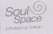 Soul Space Device mark 1539884 Trademark