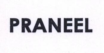 Parneel Device mark 1528954 Trademark