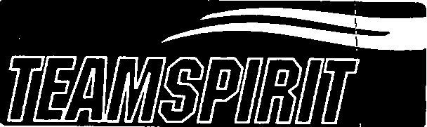 Teamspirit (device Of Double Outline) Device mark 1530859 Trademark