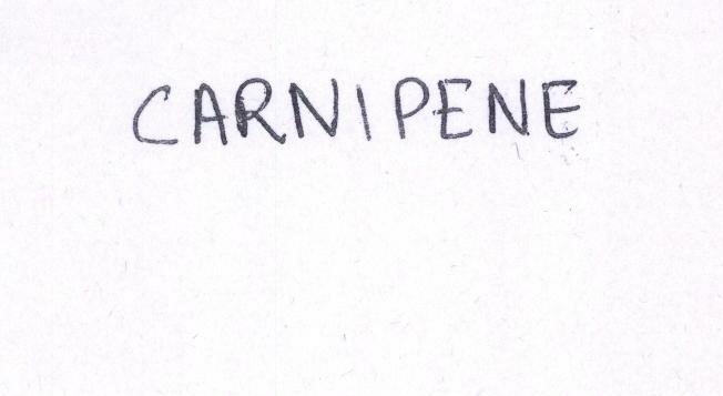 Carnipene Device mark 1570254 Trademark