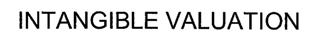 Intangible Valuation Device mark 1619613 Trademark