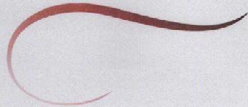 No Name Device mark 1714518 Trademark
