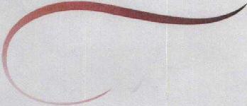 No Name Device mark 1714528 Trademark