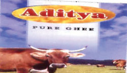 Aditya Device mark 1744463 Trademark