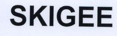 Skigee Device mark 1759318 Trademark