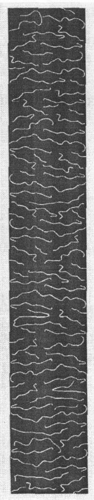 (design) (black And White) Device mark 1662542 Trademark