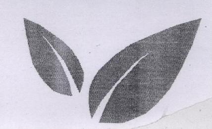 Device Mark Device mark 1767562 Trademark