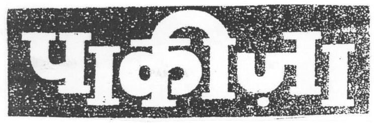 Pakiza (device) Device mark 1669463 Trademark
