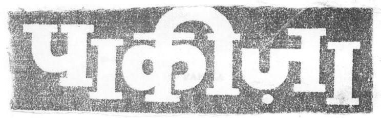 Pakiza (device) Device mark 1669475 Trademark