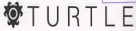 Turtle (geometrical Dev) Device mark 1707775 Trademark