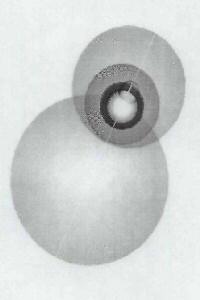 With Device Device mark 1836299 Trademark
