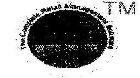 No Name Device mark 1869067 Trademark