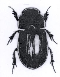 Device Of Inset Device mark 1893994 Trademark
