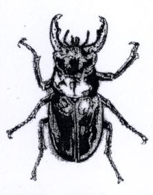 Device Of Inset Device mark 1893995 Trademark