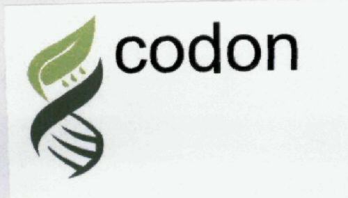 Codon Device mark 1968057 Trademark