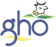 Gho Device mark 1811357 Trademark