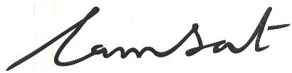 Lamsat Device mark 2017686 Trademark