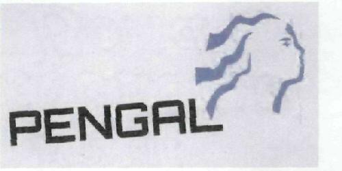 Pengal Device mark 2032912 Trademark