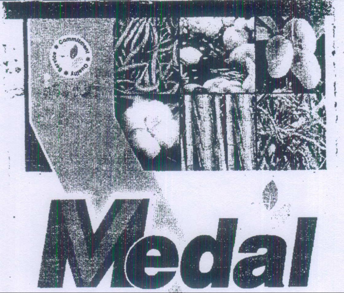 Medal Device mark 2034167 Trademark