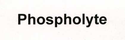 Phospholyte Device mark 2095637 Trademark