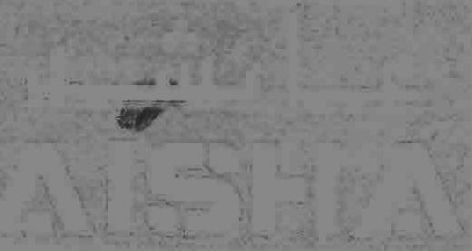 Aisha With Urdu Lable Device mark 2126474 Trademark