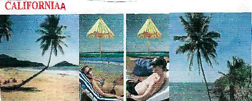 Californiaa (label) Device mark 2186552 Trademark