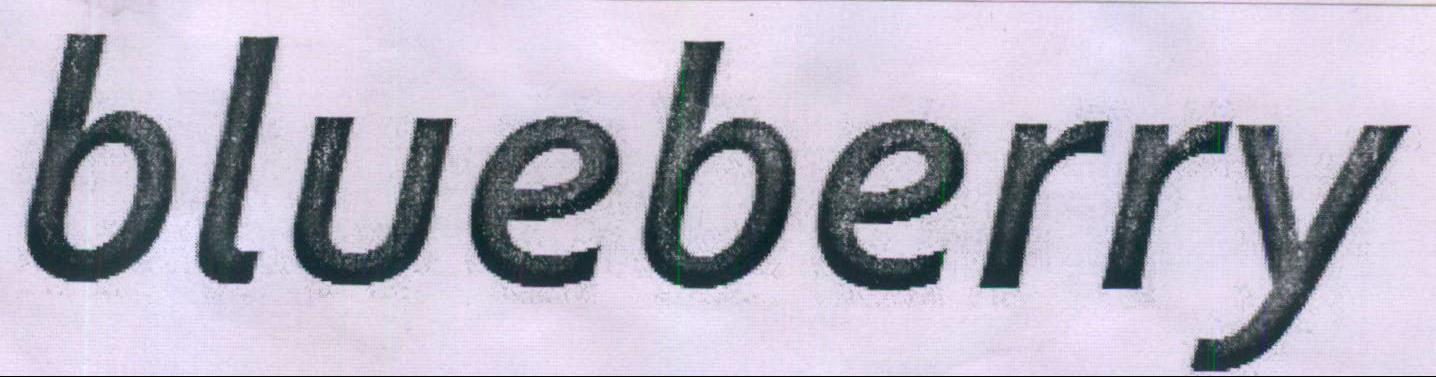 Blueberry Device mark 1974333 Trademark