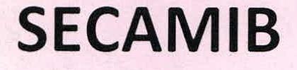 Secamib Device mark 2249449 Trademark