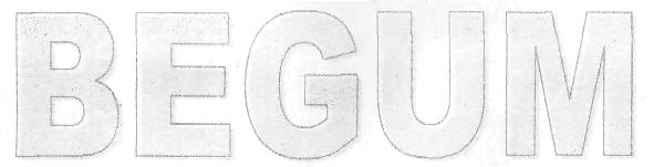 Begum (device) Device mark 2275121 Trademark