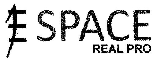 E Space Real Pro Device mark 1990068 Trademark