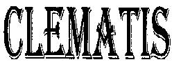 Clematis Device mark 2036952 Trademark