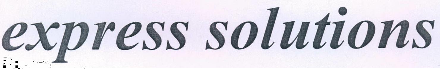 Express Solutions Device mark 2198799 Trademark