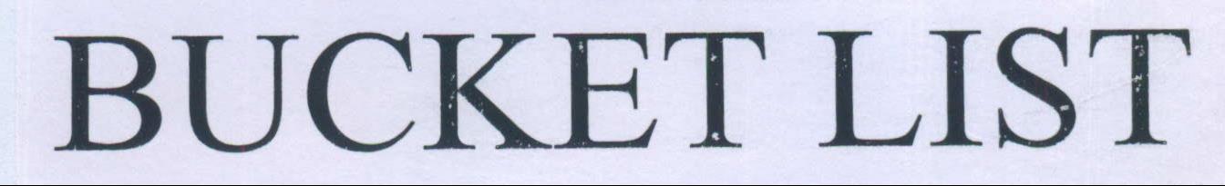 Bucket List Device mark 2174300 Trademark