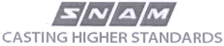 Snam Casting Higher Standards Device mark 2374054 Trademark
