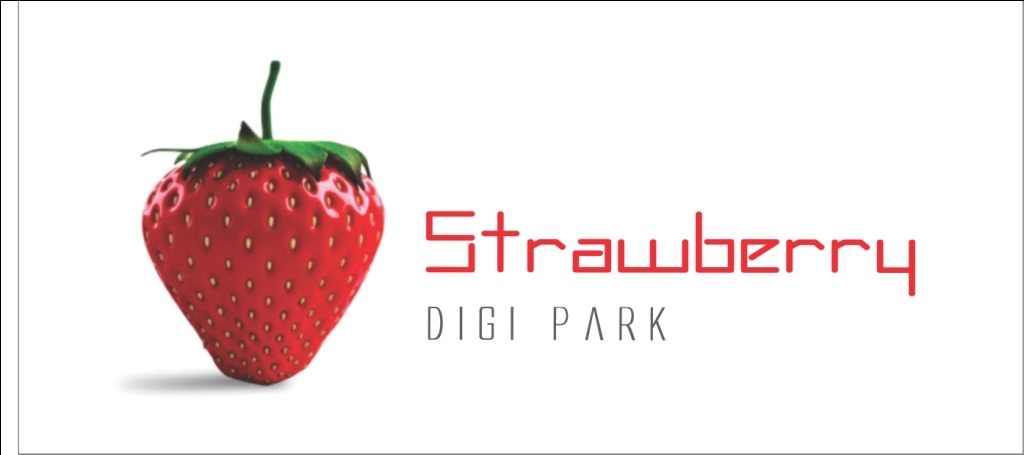 Strawberry Digi Park Device mark 2416492 Trademark