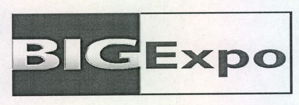 Big Expo Device mark 2228964 Trademark