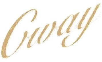 Cway Device mark 2525824 Trademark